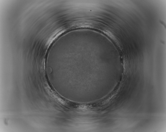 X0000102820790200808251109