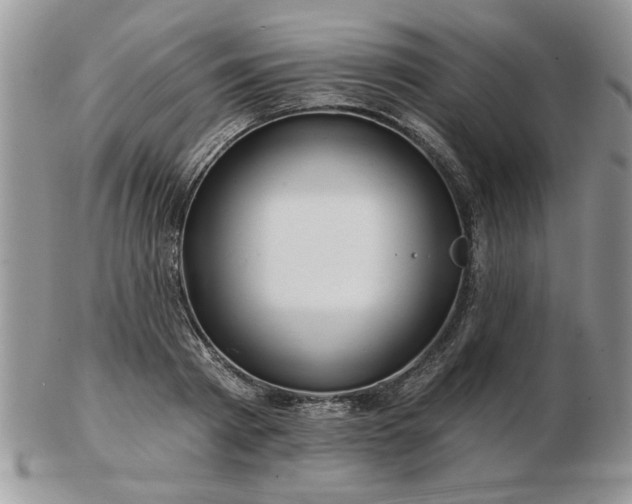 X0000102820793200808251109