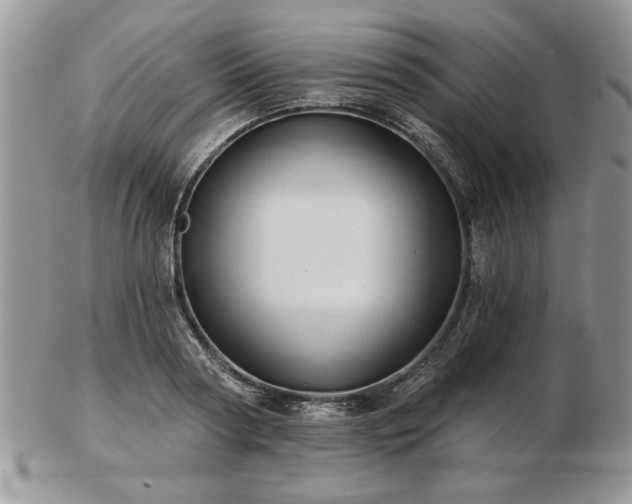 X0000102820794200808251109