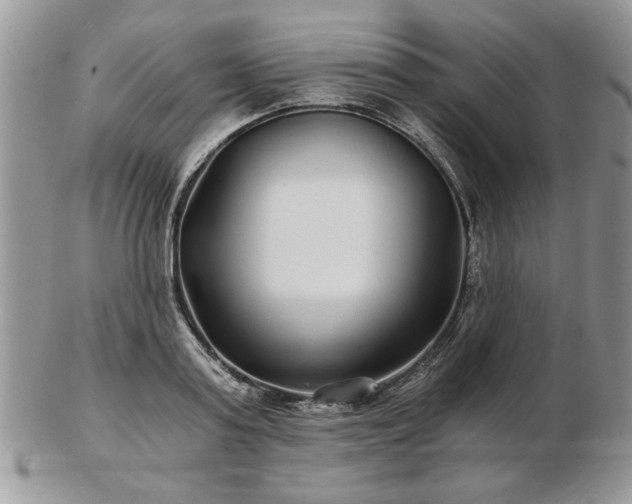 X0000102820795200808251109