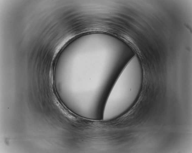X0000102820796200808251109