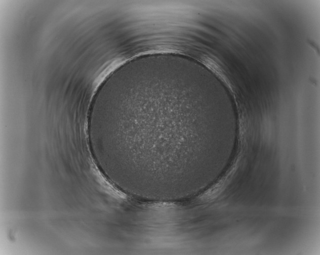 X0000102820797200808251109