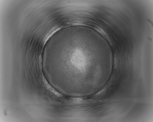 X0000102820798200808251109