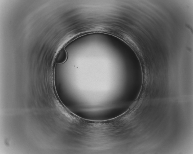 X0000102820800200808251109