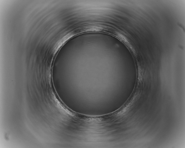 X0000102820802200808251109