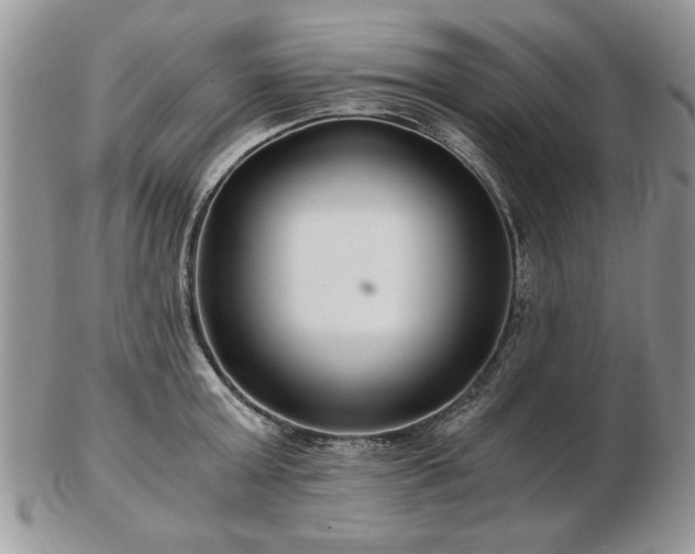 X0000102820803200808251109