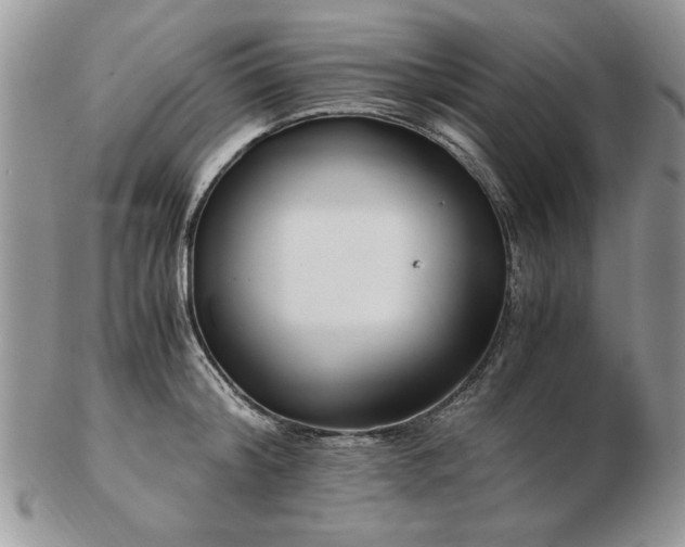 X0000102820804200808251109