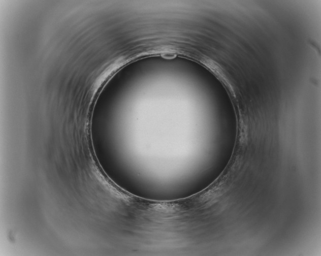 X0000102820805200808251109