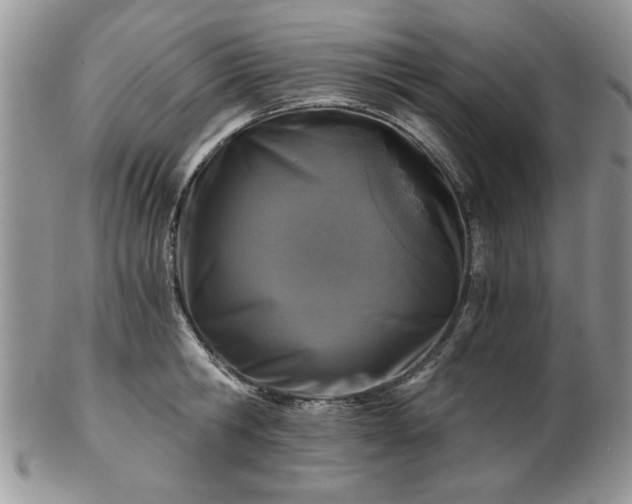 X0000102820806200808251109
