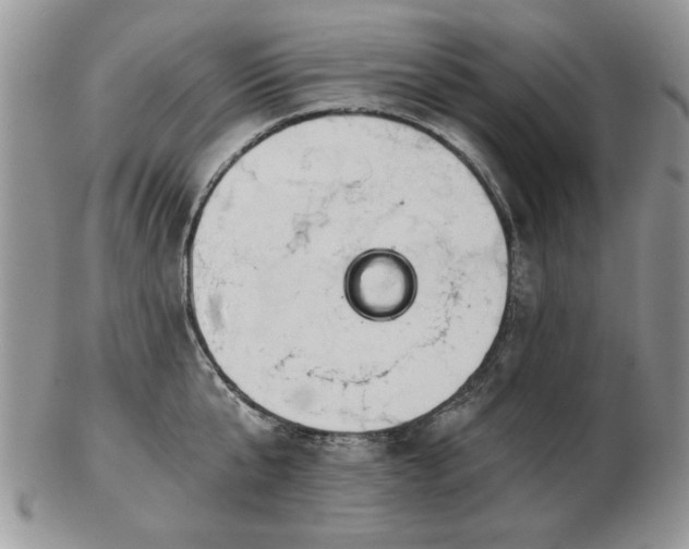X0000102820807200808251109