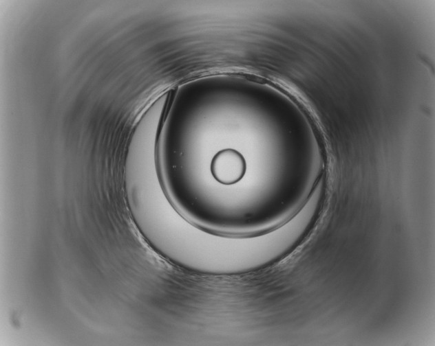 X0000102820809200808251109