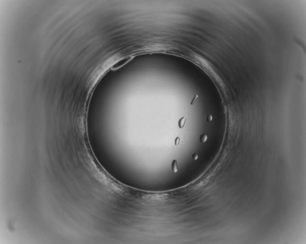 X0000102820810200808251109