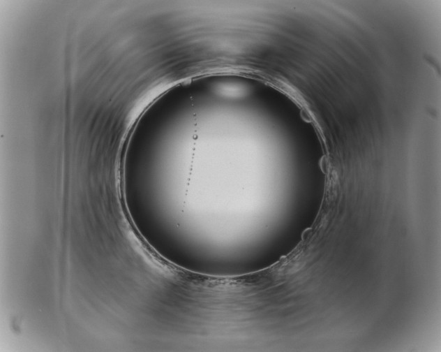 X0000102820811200808251109