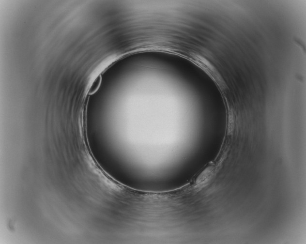 X0000102820812200808251109