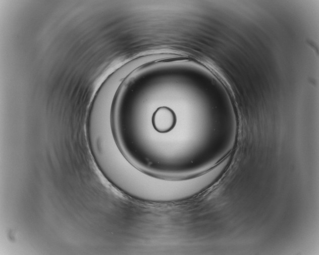 X0000102820813200808251109