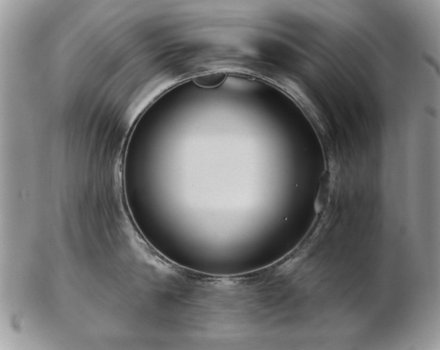 X0000102820814200808251109