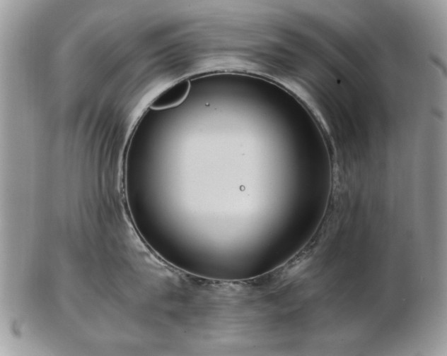 X0000102820815200808251109