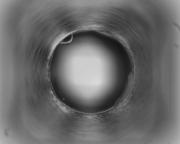 X0000102820816200808251109