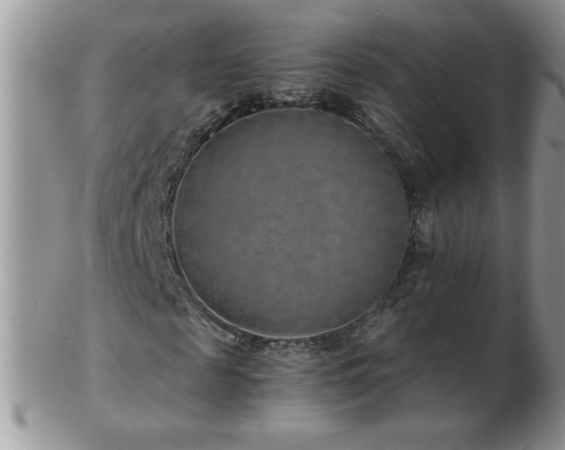 X0000102820817200808251108