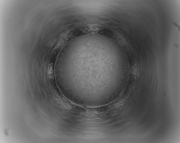 X0000102820818200808251108
