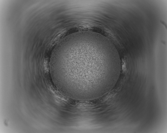 X0000102820819200808251108