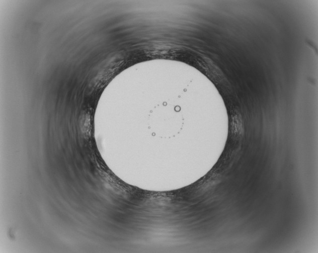 X0000102820820200808251108
