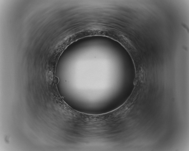 X0000102820821200808251109