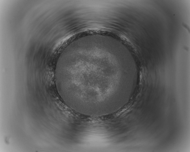 X0000102820822200808251109