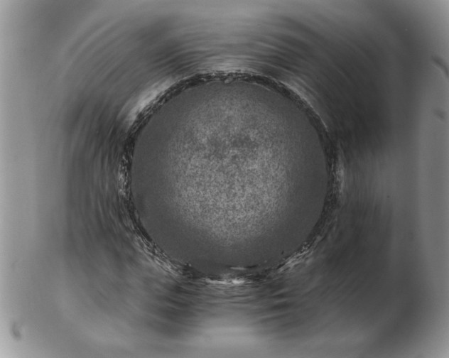 X0000102820823200808251109