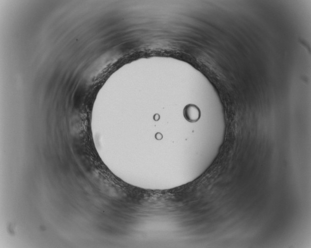 X0000102820824200808251109