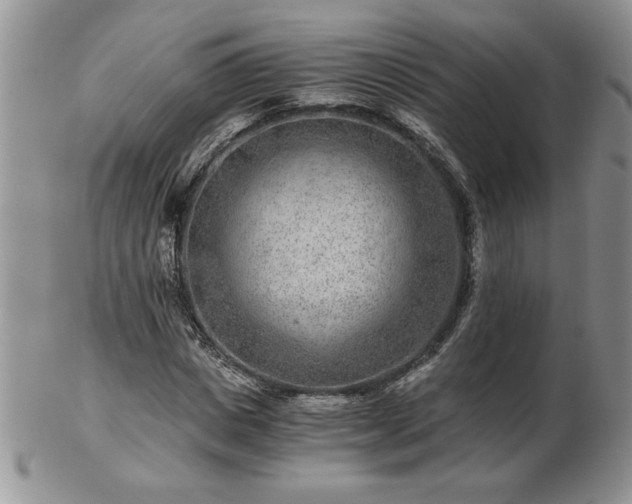 X0000102820825200808251109