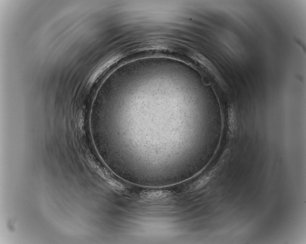 X0000102820826200808251109