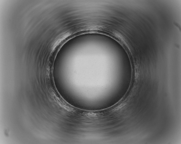 X0000102820827200808251109
