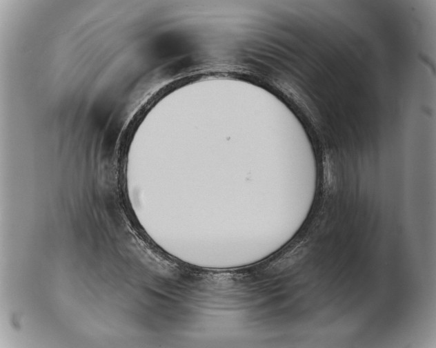 X0000102820828200808251109