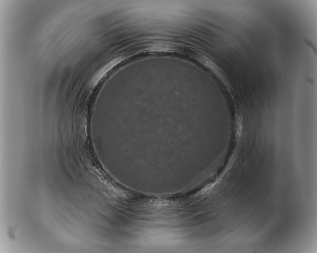 X0000102820829200808251109