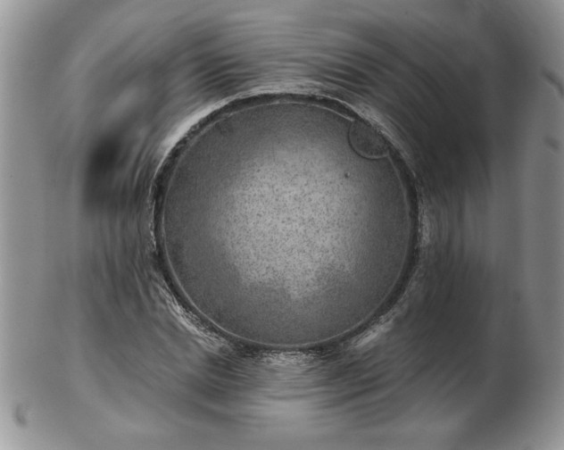 X0000102820830200808251109