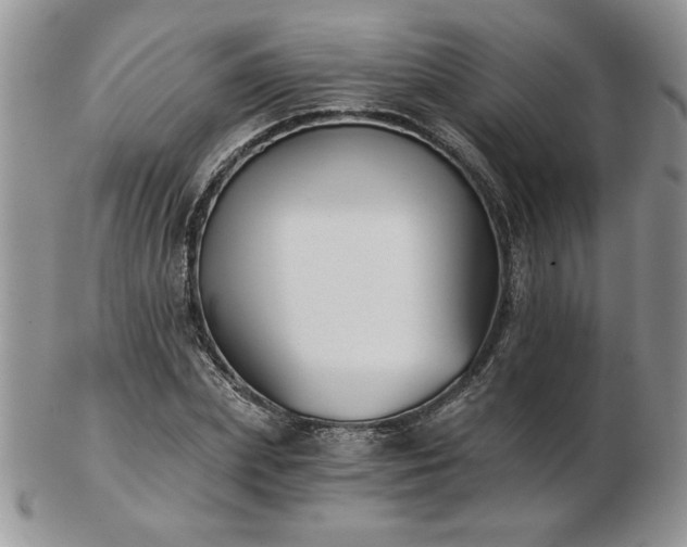 X0000102820831200808251109