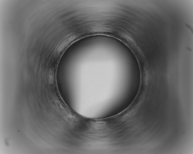 X0000102820833200808251109