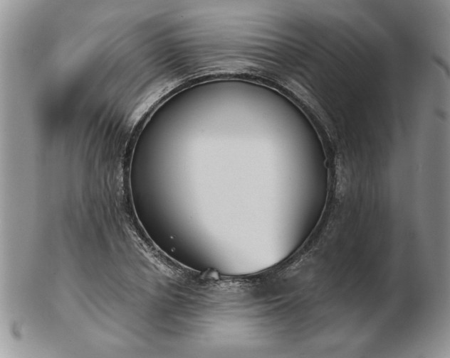 X0000102820834200808251109