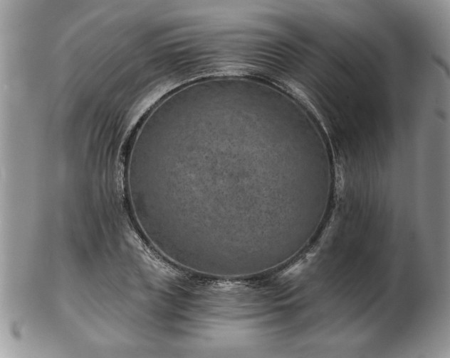 X0000102820835200808251109
