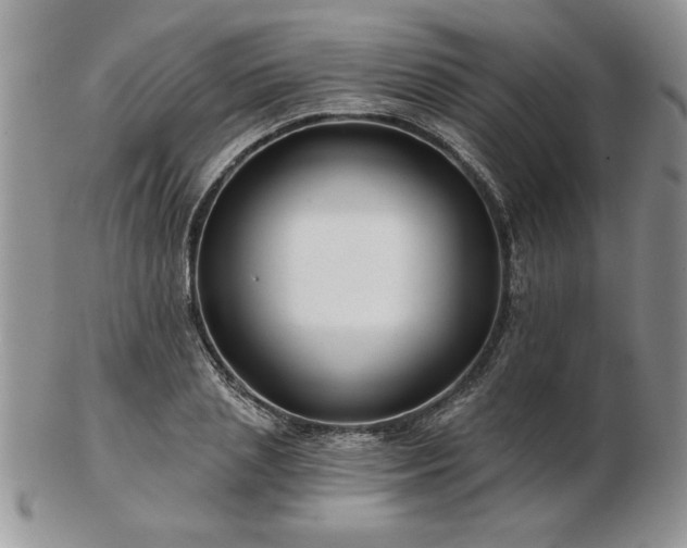 X0000102820837200808251109