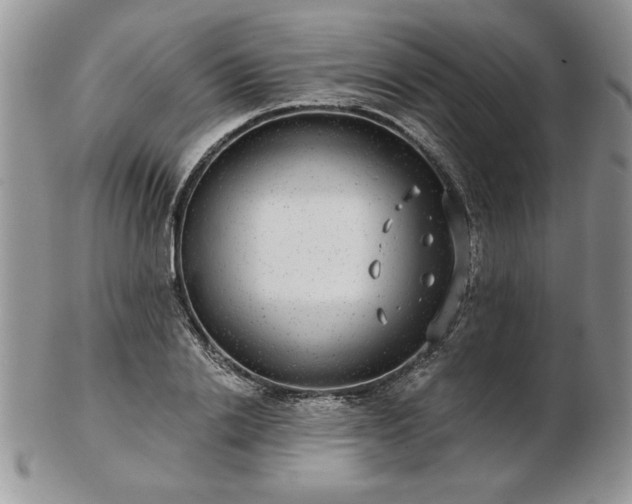 X0000102820838200808251109