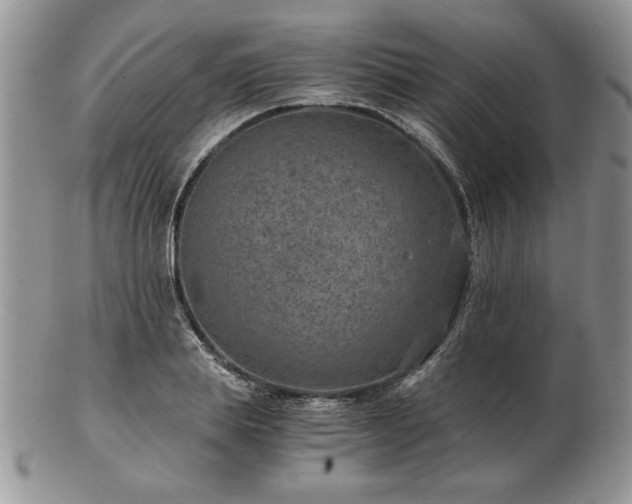 X0000102820839200808251109