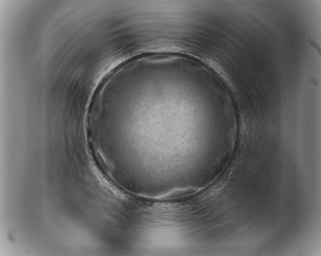 X0000102820840200808251109