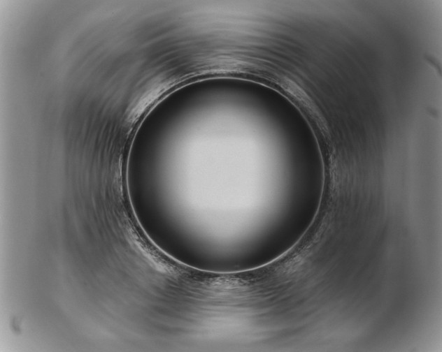 X0000102820842200808251109