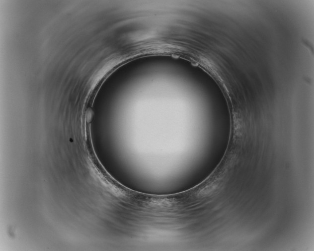 X0000102820843200808251109