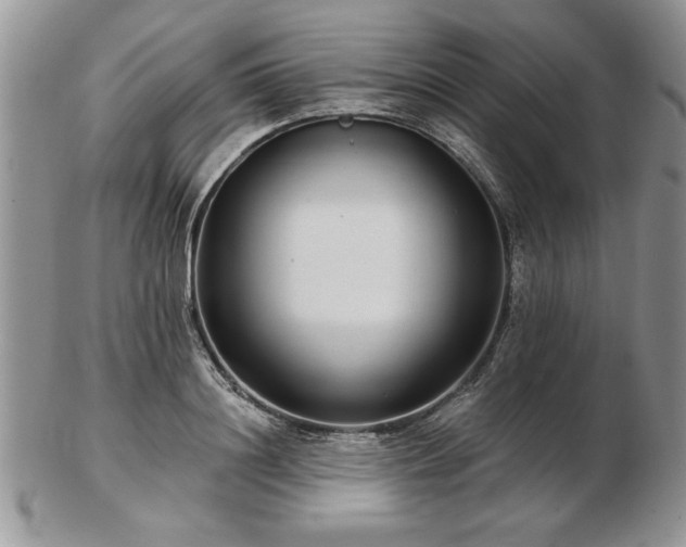X0000102820844200808251109