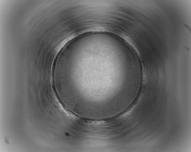 X0000102820845200808251109