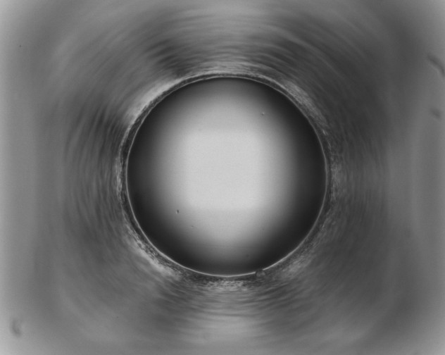 X0000102820846200808251109