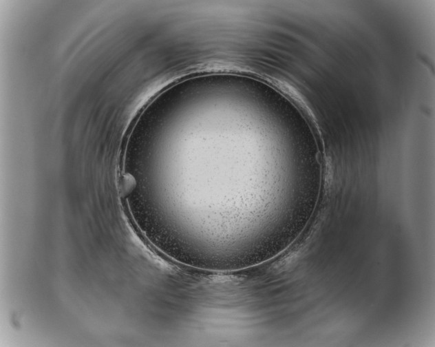 X0000102820847200808251109